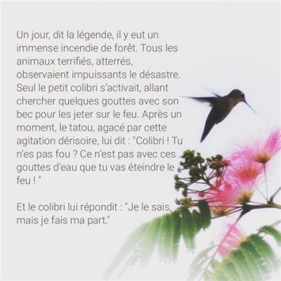  La légende du Colibri et ses leçons précieuses sur le courage et la résilience!