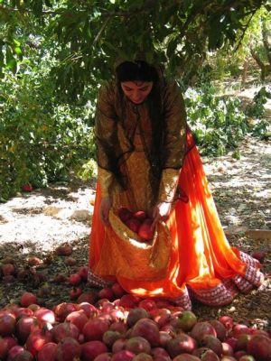  The Valiant Pomegranate - A First Century Iranian Folk Tale Exploring Themes of Courage and Selflessness!