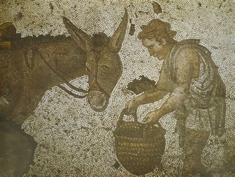  The Ungrateful Donkey! A Fifth Century Italian Folk Tale Exploring Themes of Greed and Ingratitude.